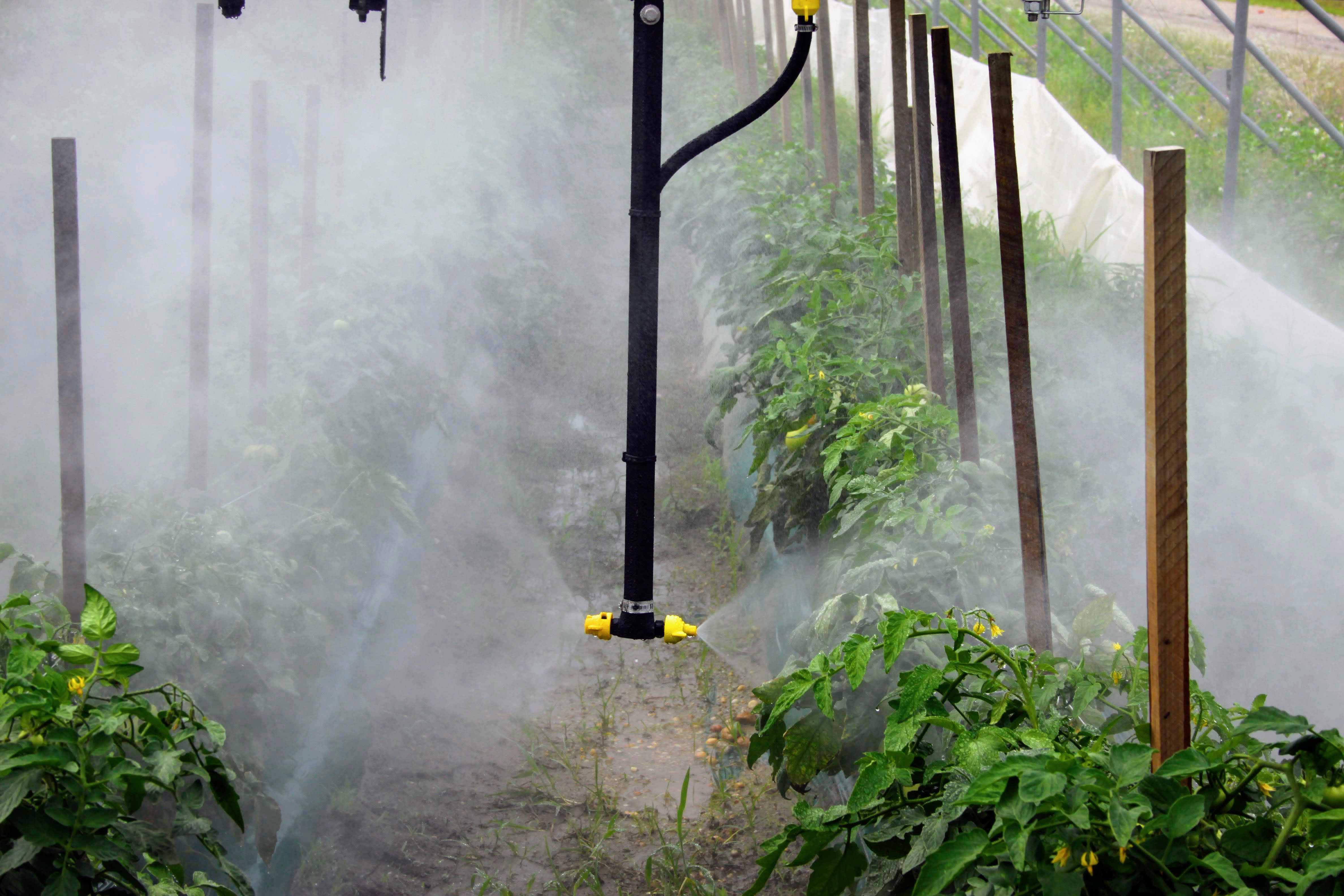 SP50 High Tunnel Sprayer Iva Sprayers